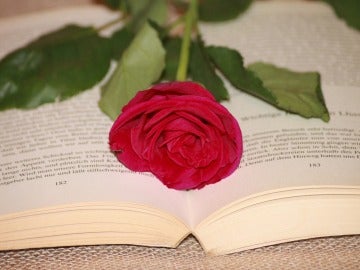 Una rosa roja y un libro, como regalo de Sant Jordi