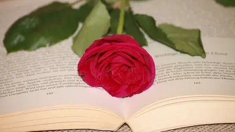 Una rosa roja y un libro, como regalo de Sant Jordi Una rosa roja y un libro, como regalo de Sant Jordi