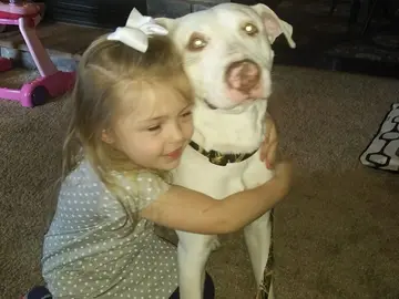 Una niña encuentra a su perro desaparecido gracias a la ayuda de los usuarios de las redes Una niña encuentra a su perro desaparecido gracias a la ayuda de los usuarios de las redes