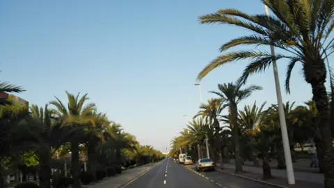Elche. Tiempo