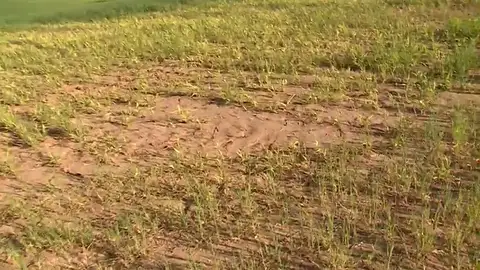 Frame 10.865742 de: Se pueden perder cosechas en siete comunidades Frame 10.865742 de: Se pueden perder cosechas en siete comunidades