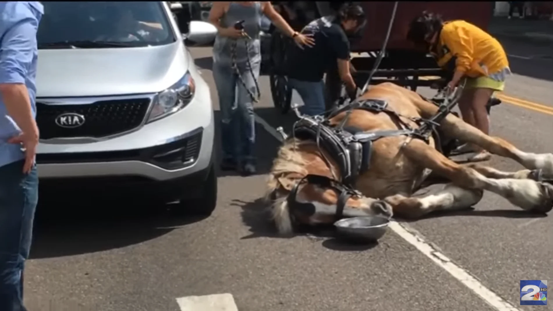 Un caballo desmayado Un caballo desmayado