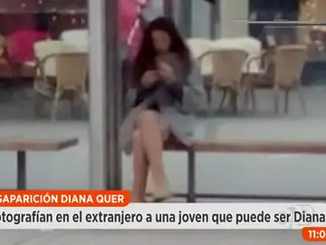 Diana Quer Diana Quer