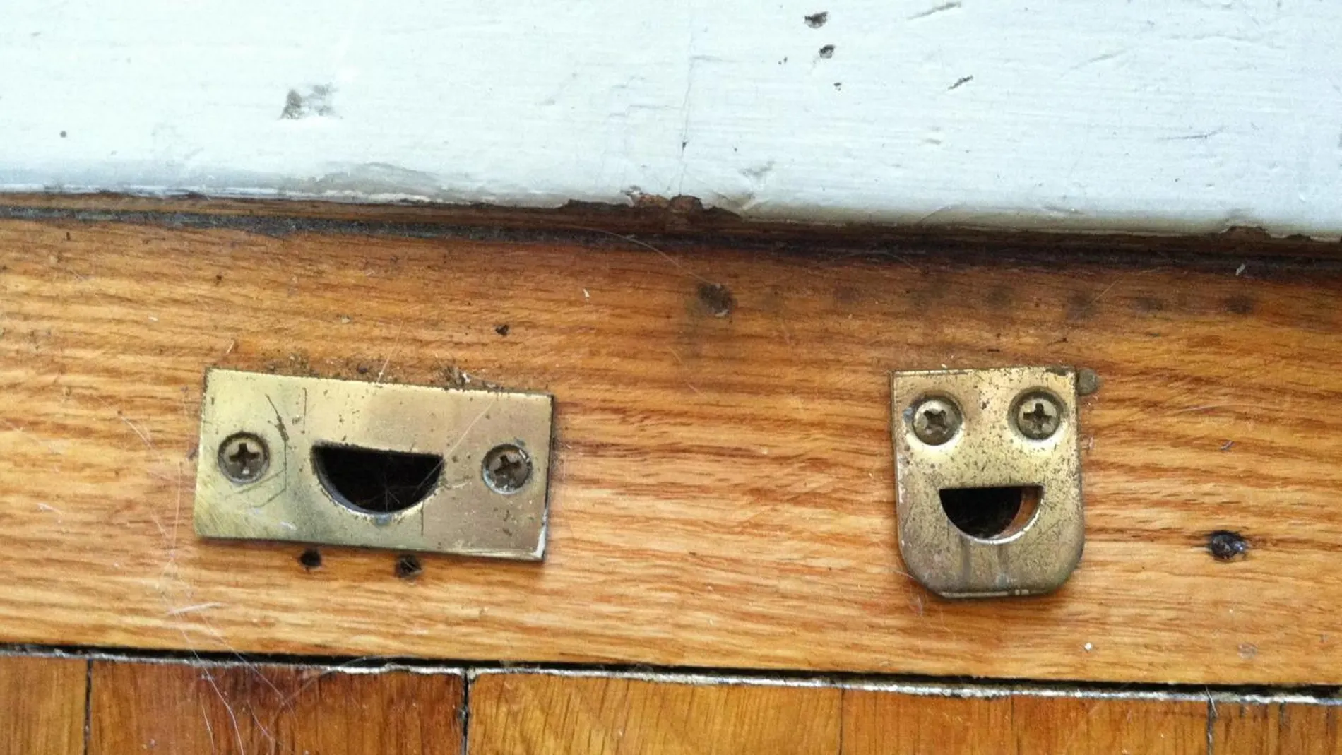 Pareidolia Pareidolia