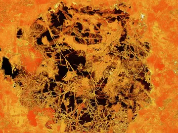 Hongos fósiles de 2.400 millones de años de antigüedad Hongos fósiles de 2.400 millones de años de antigüedad