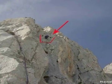 Frame 19.105213 de: Encuentran muertos a los tres montañeros zamoranos desaparecidos en los Picos de Europa