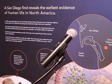 Imagen de la investigación Imagen de la investigación