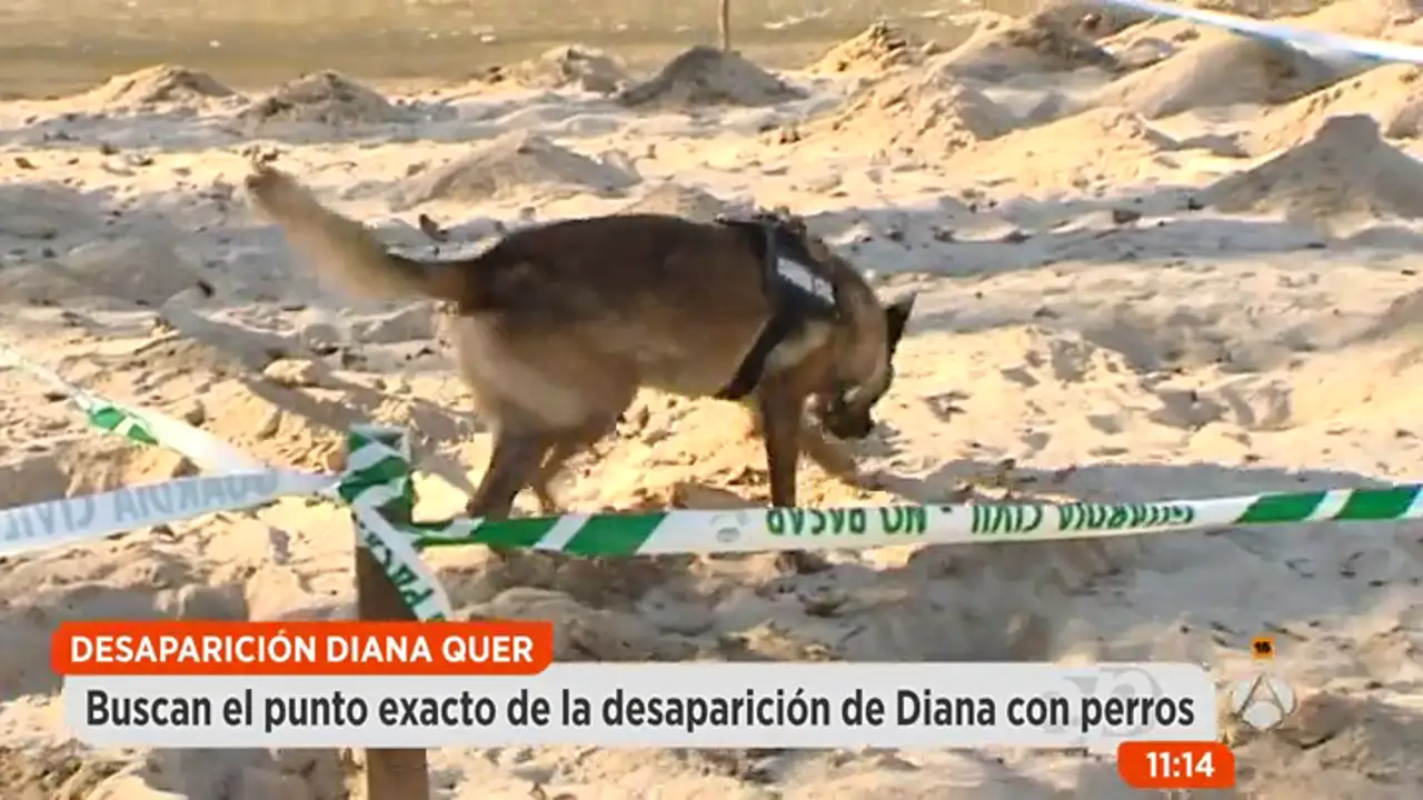 Los investigadores recurren a la unidad de perros para localizar el sitio exacto donde desapareció Diana Quer