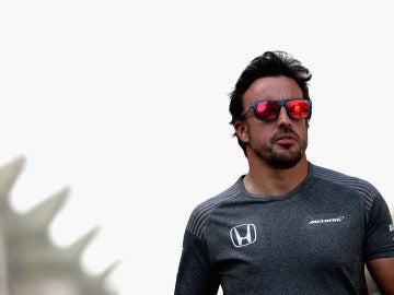 Fernando Alonso durante un Gran Premio