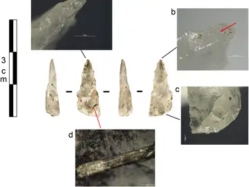 Descubren los primeros proyectiles de la Edad de Piedra Descubren los primeros proyectiles de la Edad de Piedra
