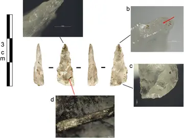 Descubren los primeros proyectiles de la Edad de Piedra Descubren los primeros proyectiles de la Edad de Piedra
