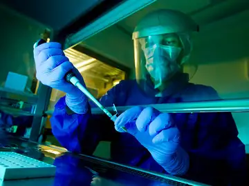 Los paleontólogos ya no necesitan fósiles para analizar el ADN Los paleontólogos ya no necesitan fósiles para analizar el ADN