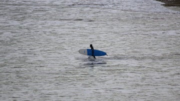 Un surfista, en Coldingham Bay
