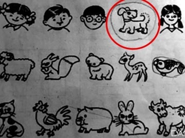 Serie de animales en un examen de primaria