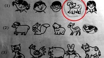 Serie de animales en un examen de primaria
