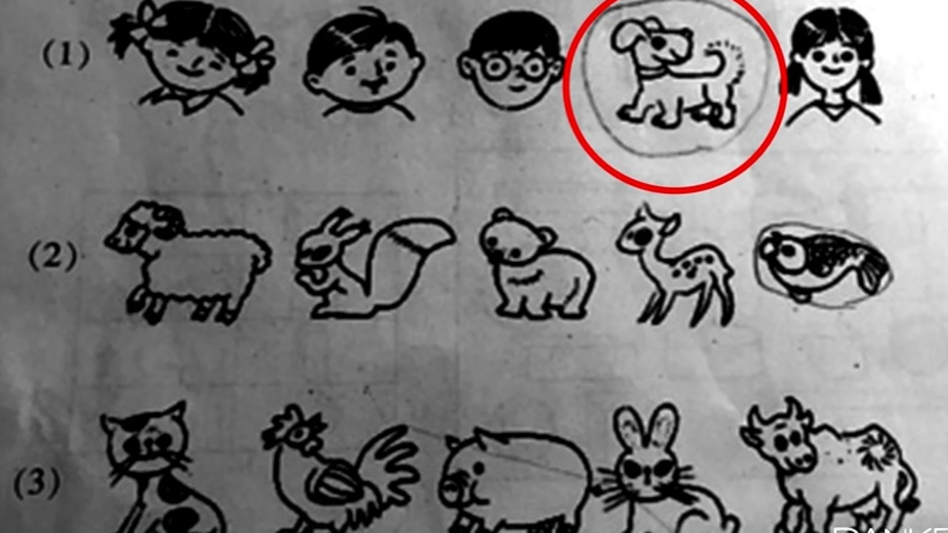 Serie de animales en un examen de primaria Serie de animales en un examen de primaria
