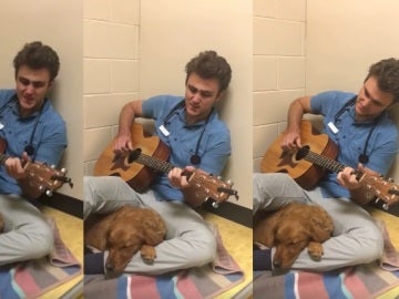 Un médico cantando a un perro