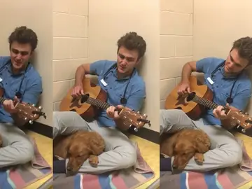 Un médico cantando a un perro Un médico cantando a un perro