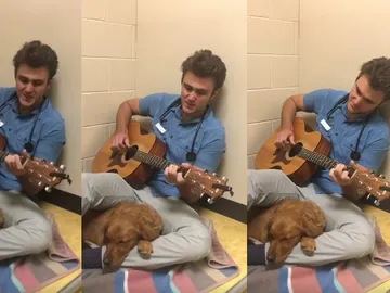 Un médico cantando a un perro Un médico cantando a un perro