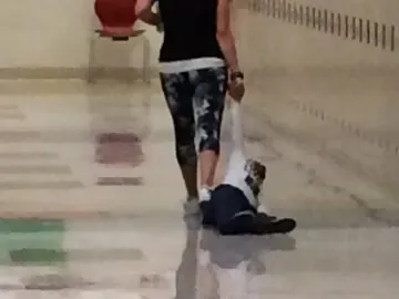 La profesora arrastrando al alumno La profesora arrastrando al alumno