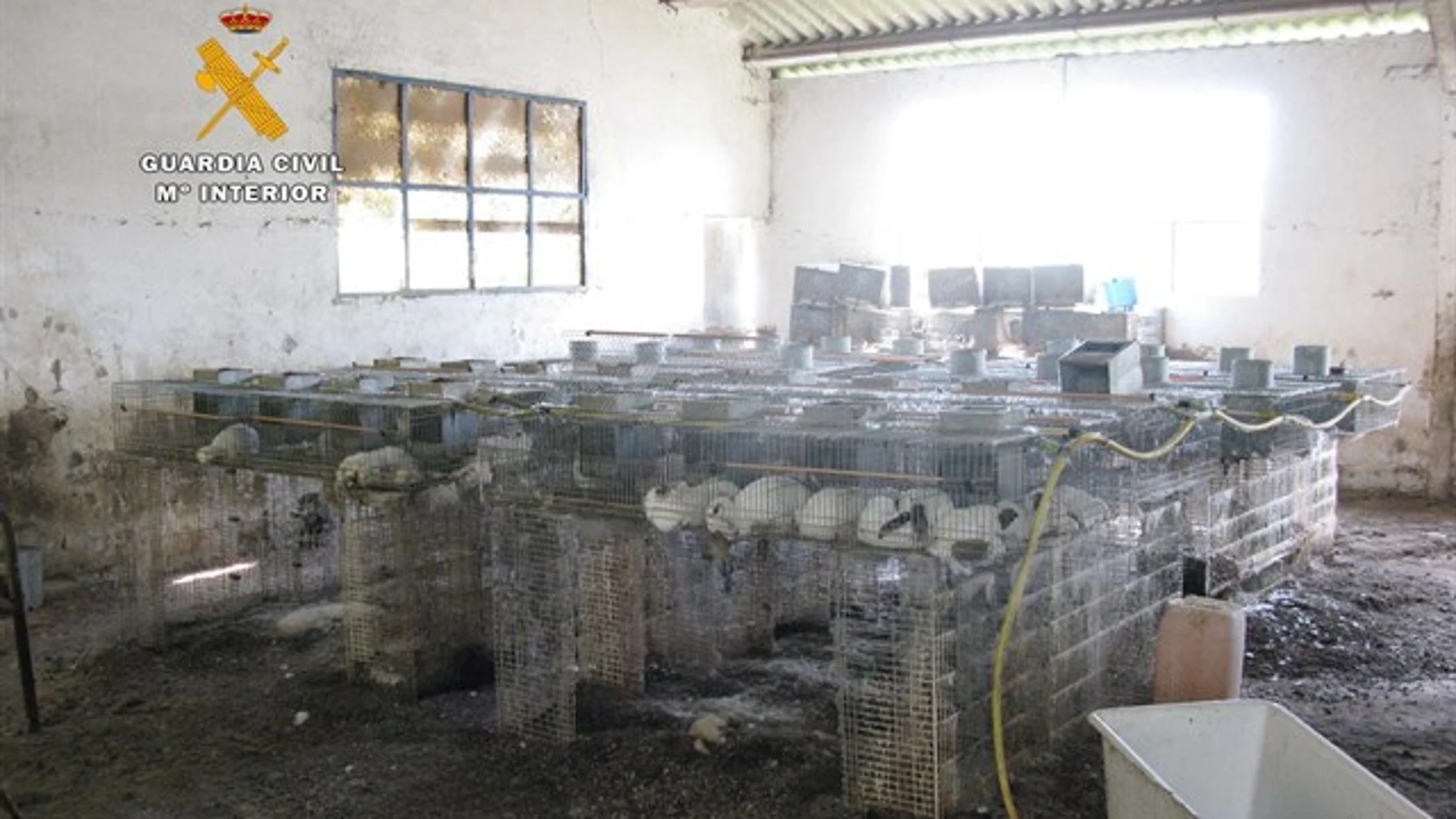 La nave en la que han encontrado un centenar de conejos muertos La nave en la que han encontrado un centenar de conejos muertos