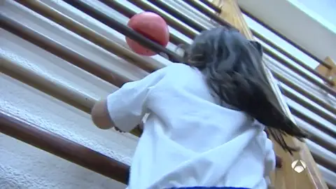 Niña subiendo por una espaldera Niña subiendo por una espaldera