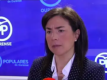 Frame 18.066945 de: El PP propondrá reclutar hackers y crear una "ciberreserva" al servicio del Estado Frame 18.066945 de: El PP propondrá reclutar hackers y crear una "ciberreserva" al servicio del Estado