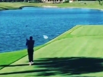Un golfista amateur mata a un pato de forma accidental