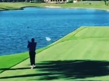Un golfista amateur mata a un pato de forma accidental Un golfista amateur mata a un pato de forma accidental
