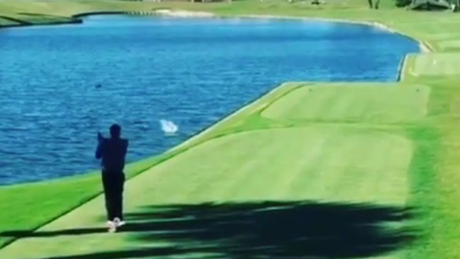 ¡Ver para creer! Se carga a un pato que se cruza en su salida desde el tee en un campo de golf