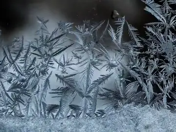 Frame 58.457727 de: Macro "time-lapse": la manera de ver lo imposible Frame 58.457727 de: Macro "time-lapse": la manera de ver lo imposible