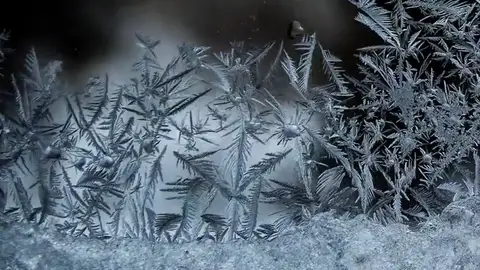 Frame 58.457727 de: Macro "time-lapse": la manera de ver lo imposible Frame 58.457727 de: Macro "time-lapse": la manera de ver lo imposible