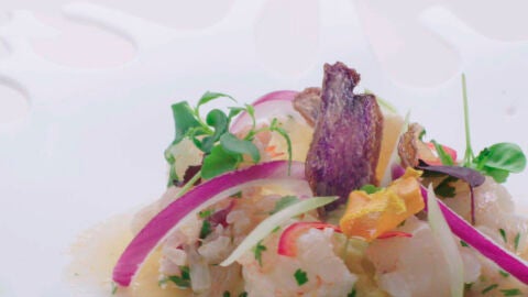 Ceviche de bogavante y cigala con crema de boniato y n&eacute;cora