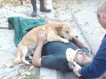 Tony junto a su dueño tras el accidente Tony junto a su dueño tras el accidente
