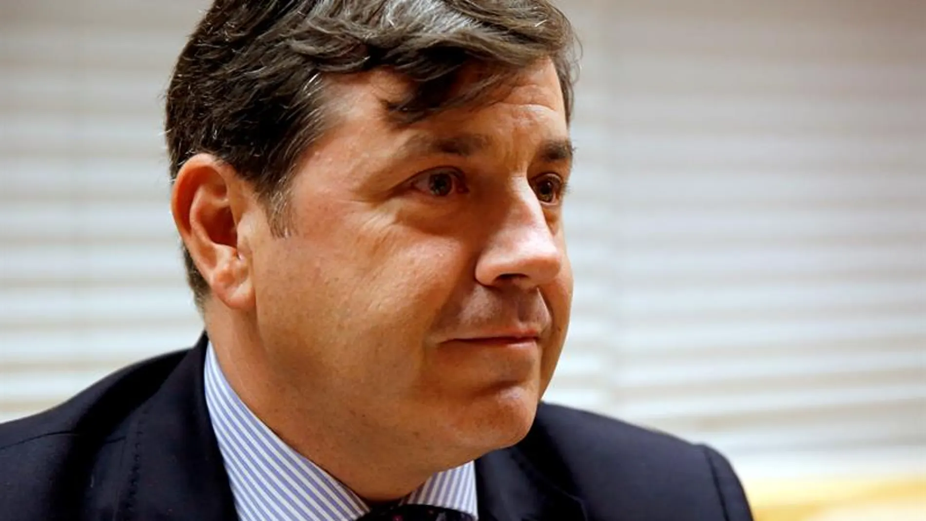 El viceconsejero madrileño de Medio Ambiente, Miguel Ángel Ruiz El viceconsejero madrileño de Medio Ambiente, Miguel Ángel Ruiz