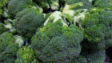 Brócoli