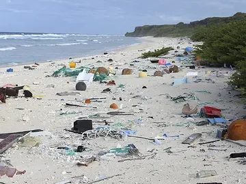 La remota isla Henderson tiene la mayor densidad de basura humana del planeta La remota isla Henderson tiene la mayor densidad de basura humana del planeta