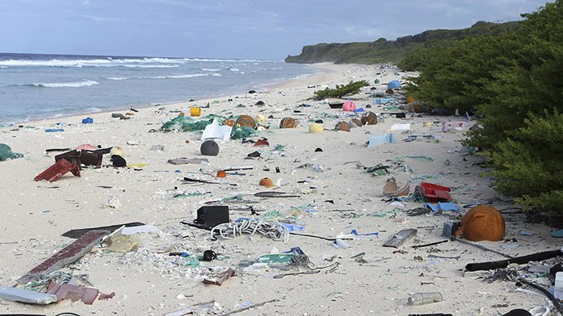 La remota isla Henderson tiene la mayor densidad de basura humana del planeta La remota isla Henderson tiene la mayor densidad de basura humana del planeta