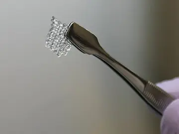 La estructura de un ovario bioprotésico hecho de gelatina La estructura de un ovario bioprotésico hecho de gelatina