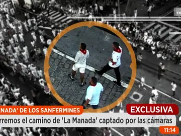 Frame 125.033333 de: Manada_encierro Frame 125.033333 de: Manada_encierro