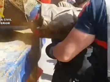 Frame 34.638487 de: Un hombre queda atrapado en un tubo de cuarenta centímetros de diámetro en el que pretendía entrar en Melilla Frame 34.638487 de: Un hombre queda atrapado en un tubo de cuarenta centímetros de diámetro en el que pretendía entrar en Melilla