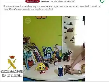 La página que oferta la venta La página que oferta la venta