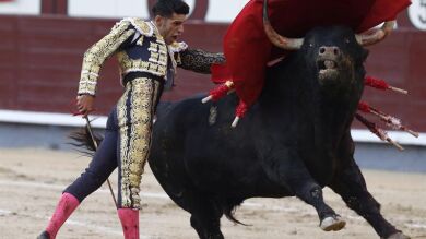 Triunfo con sangre de Talavante ante una brava corrida de Cuvillo