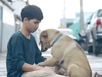 'El primer abrazo', un proyecto para concienciar sobre el maltrato animal 'El primer abrazo', un proyecto para concienciar sobre el maltrato animal