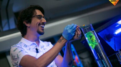 ¿Sabías que el curry es fluorescente?
