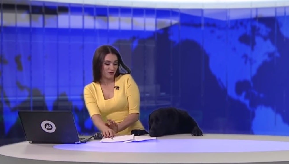 El perro junto a la presentadora en el estudio