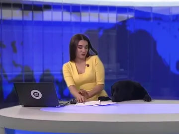 El perro junto a la presentadora en el estudio El perro junto a la presentadora en el estudio