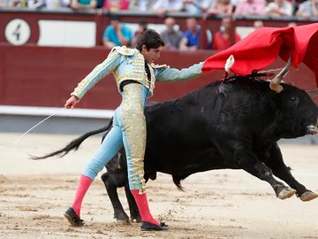El diestro francés Sebastian Castella da un pase con la muleta a uno de los de su lote, durante la corrida de la Feria de San Isidro El diestro francés Sebastian Castella da un pase con la muleta a uno de los de su lote, durante la corrida de la Feria de San Isidro