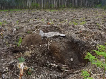 Desperfectos causados en el lugar donde estaba el dolmen Desperfectos causados en el lugar donde estaba el dolmen
