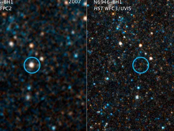 Una estrella en colapso renace como agujero negro Una estrella en colapso renace como agujero negro